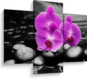 Tablou - Orhidee violet (90x60 cm)