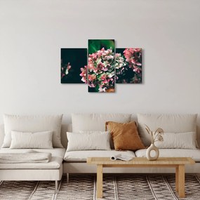 Tablou - Hortensie (90x60 cm)