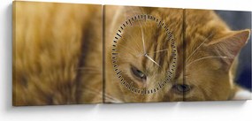 Tabloul pisicii (cu ceas) (90x30 cm)