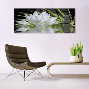 Tablou pe sticla Pietrele de flori Apă Floral Alb Negru