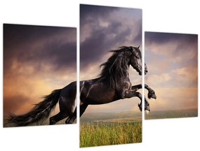 Tablou - Cai (90x60 cm)