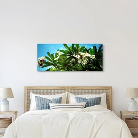 Tablou - Plumeria (120x50 cm)