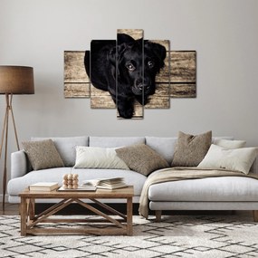 Tablou cu cățeluș negru (150x105 cm)