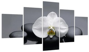 Tablou cu orhidee (125x70 cm), în 40 de alte dimensiuni noi