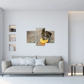 Tablou cu fluturi (90x60 cm)