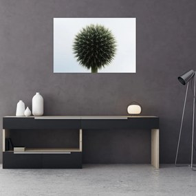 Tablou - Sfere de flori (90x60 cm)