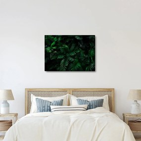 Tablou - Păpădii tropicale (70x50 cm)