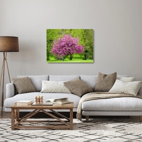 Tablou pe sticlă cu pom înflorit pe luncă (70x50 cm)