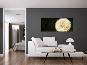 Tablou cu păpădie gri (120x50 cm)