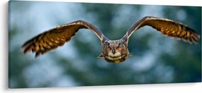 Tablou -Bufnita în zbor (120x50 cm)