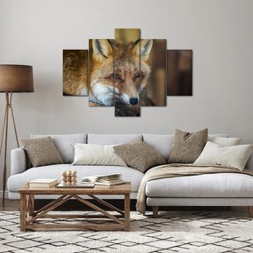 Tablou cu vulpe (150x105 cm)