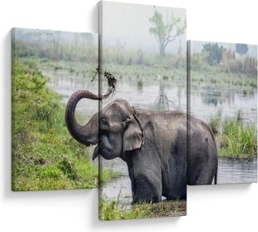 Tablou - Elefant de scăldat (90x60 cm)