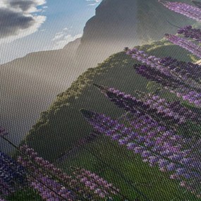 Tablou - scenariu cu flori de Lupin (120x50 cm)