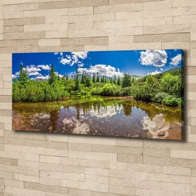 Pictură pe pânză Lacul în pădure