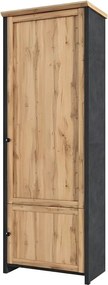 Dulap NICOLE, stejar wotan/gri antracit, PAL laminat, cu 2 usi, 71x42x