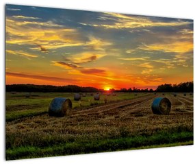Tablou - Baloți din sat (90x60 cm)
