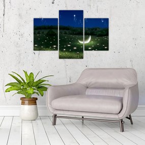 Tablou - Cer căzător (90x60 cm)