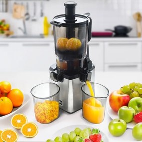 Storcător melcat pentru fructe și legume TESLA Electronics SlowJuicer Deluxe 250W/230V oțel inoxidabil