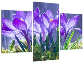 Tablou cuflori în ploaie (90x60 cm)