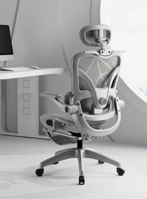 ErgoVision Pro – Scaun Ergonomic, Suport Lombar Reglabil, Umeras, Cotiere Rabatabile, Suport pentru Picioare, Mesh, Gri