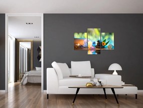 Tablou - Relaxare (90x60 cm)