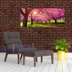 Tablou - Cireși înfloriți, Hurd Park, Dover, New Jersey (120x50 cm)