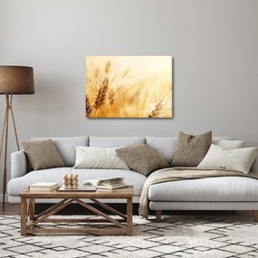 Tablou- detaliu cu (70x50 cm)