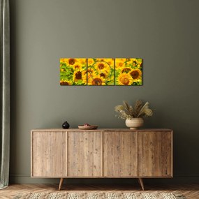 Tablou - Floarea-soarelui (cu ceas) (90x30 cm)