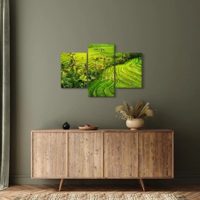Tablou - Terase de orez (90x60 cm)
