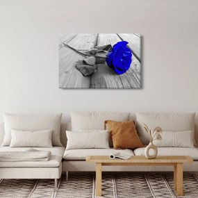 Tablou - Trandafir albastru (90x60 cm)