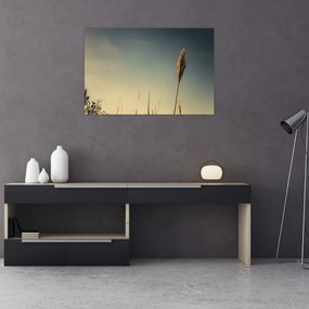 Tablou - Iarba (90x60 cm)