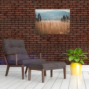 Tablou pe sticlă - detaliu spațiului de luncă (70x50 cm)