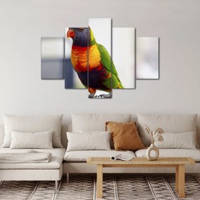 Tablou cu papagal (150x105 cm)