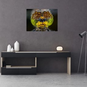 Tablou pe sticlă detailat cu ochii de omidă (70x50 cm)