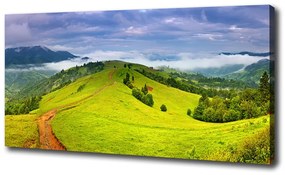 Tablouri tipărite pe pânză Dealuri verzi
