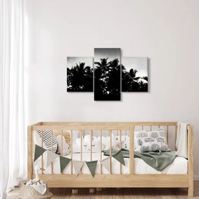 Tablou alb negru - palmieri (90x60 cm)