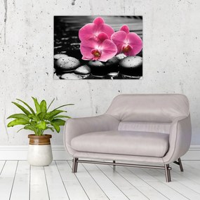 Tablou pe sticlă - Orhidee roz (70x50 cm)
