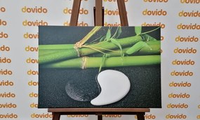 Tablou pietre în iarbă Yin și Yang