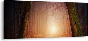 Tablou cu pădurea toamna în ceață (120x50 cm)