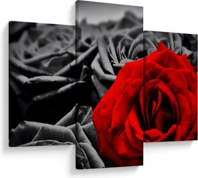 Tablou - Flori de trandafir (90x60 cm)