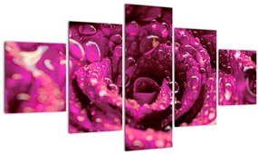 Tablou cu floarea trandafirului roz (125x70 cm), în 40 de alte dimensiuni noi