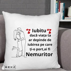 Cadou pentru Iubit - Perna Personalizata Iubitu Nemuritor cu Cuplu Line-Art si Inimi Rosii, 40x40 cm, Alb Pufos, Husa Detasabila, Perna Inclusa, BEKZ®