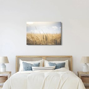 Tablou cu grâne (90x60 cm)