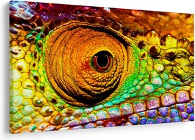 Tablou - Cameleon (90x60 cm)