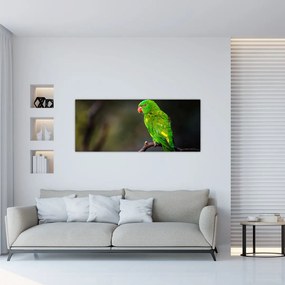 Tablou cu papagal pe greangă (120x50 cm), în 40 de alte dimensiuni noi