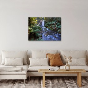 Tablou cu pădurea ploilor din Austalia (70x50 cm)