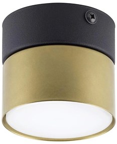 Spot SPACE GOLD 1xGX53/15W/230V