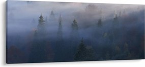 Tablou - Pădure în ceță, Carpați, Ucraina (120x50 cm)