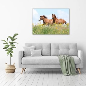 Tablou pe pânză canvas Doi cai în galop