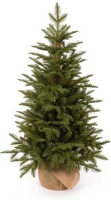 Pom de Crăciun în ghiveci 3D Brad Natural 150cm